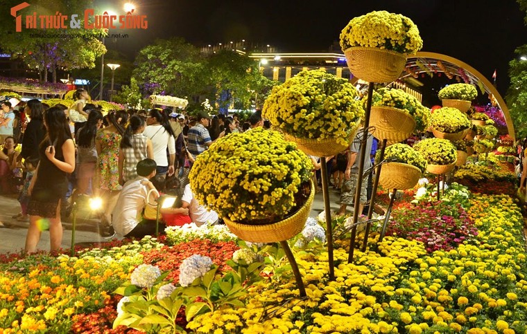 Duong hoa Nguyen Hue van ruc ro khoe sac trong ngay be mac-Hinh-2